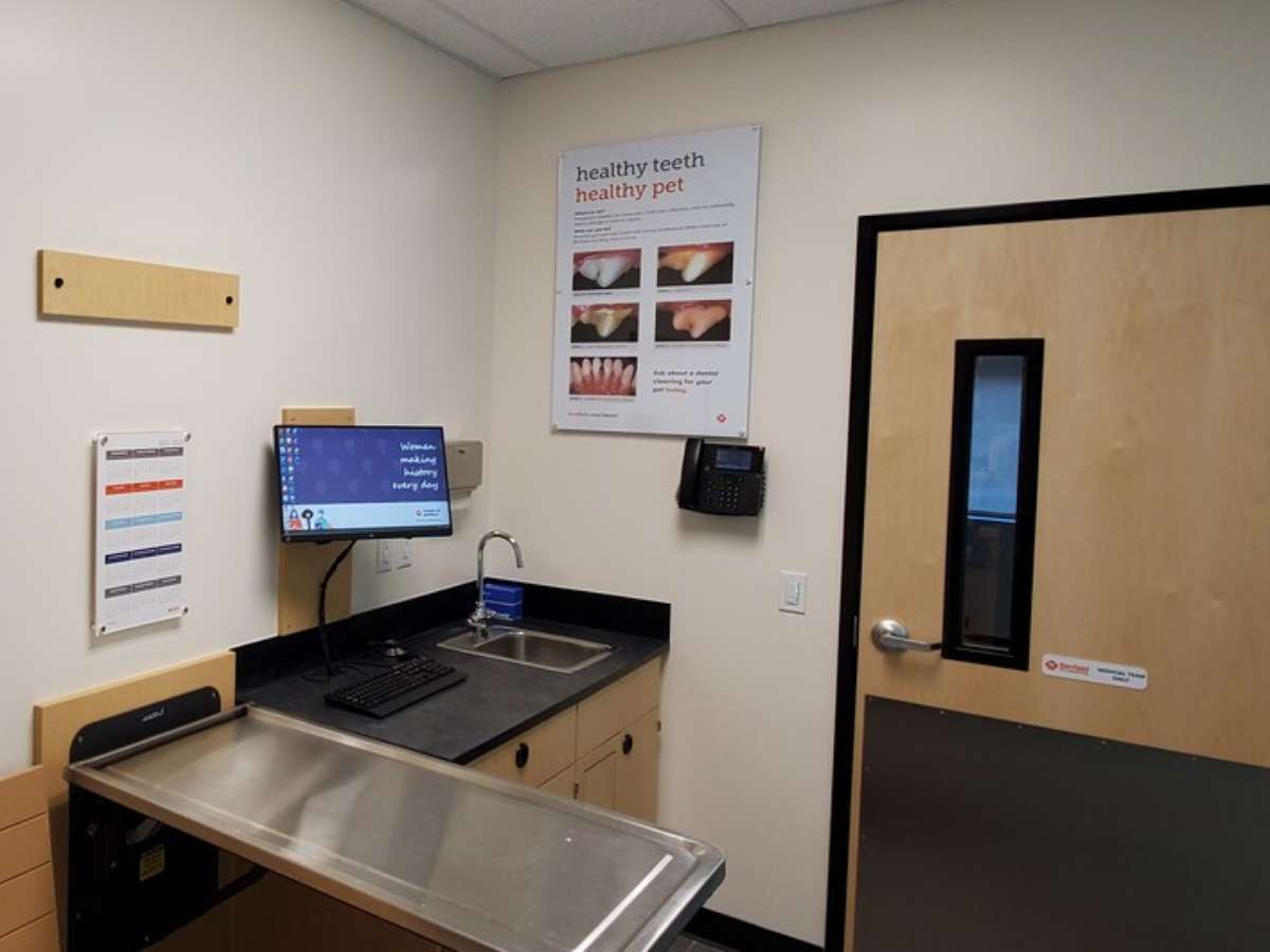 The exam room table inside the Bluffton Banfield hospital