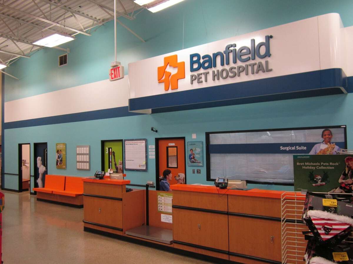 The front desks and the check-in area of the Folsom Banfield hospital
