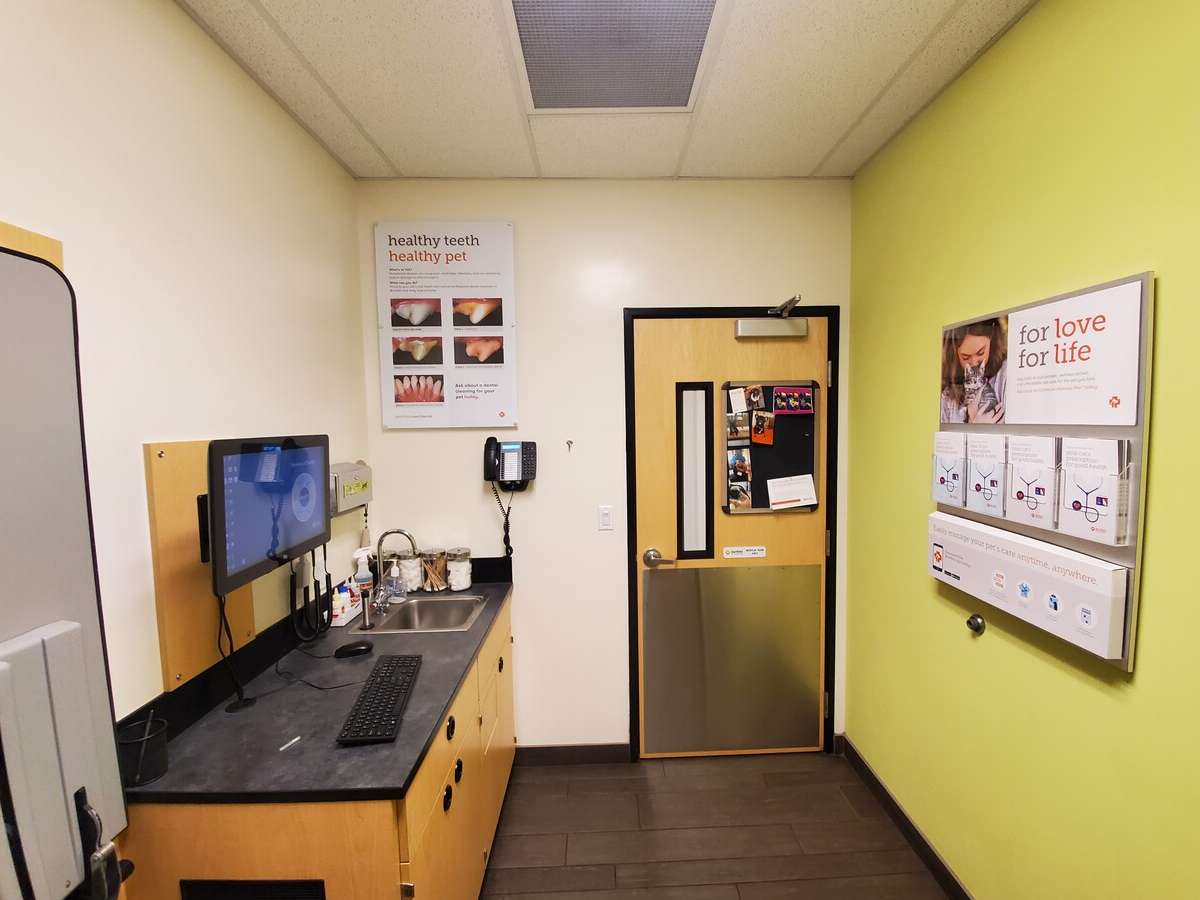 An alternate view of the Carmichael Banfield exam room and table