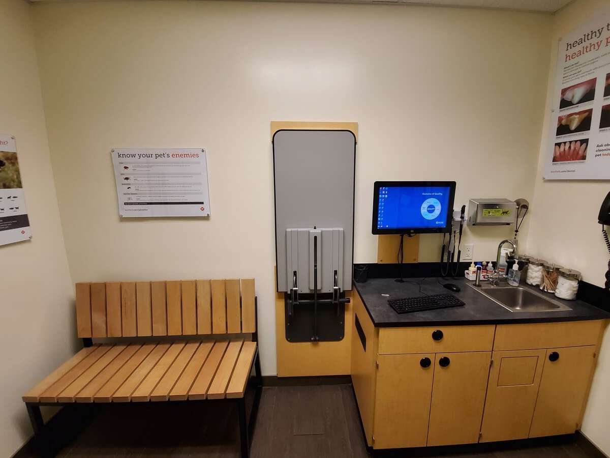 A view of the exam room and table in the Carmichael Banfield hospital