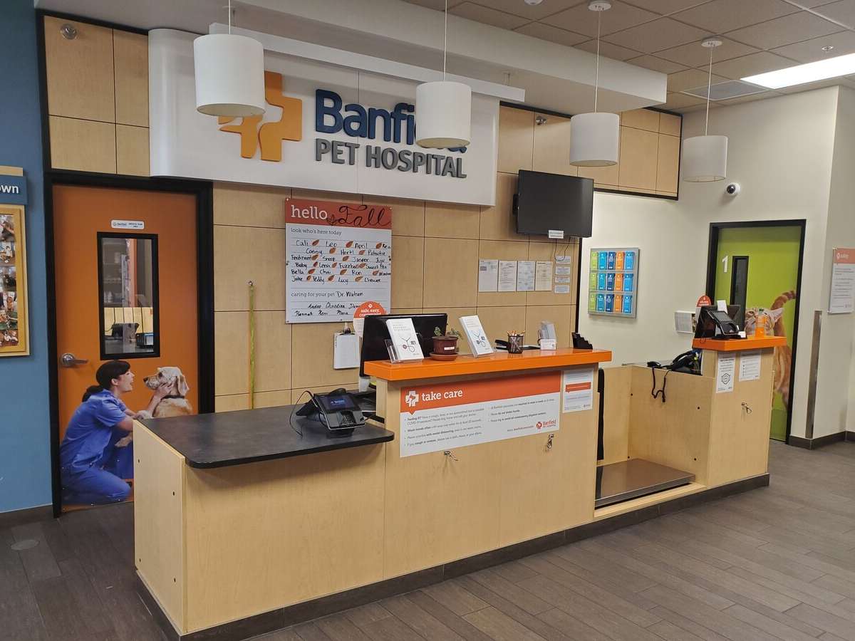 The Carmichael Banfield front desk and check-in area