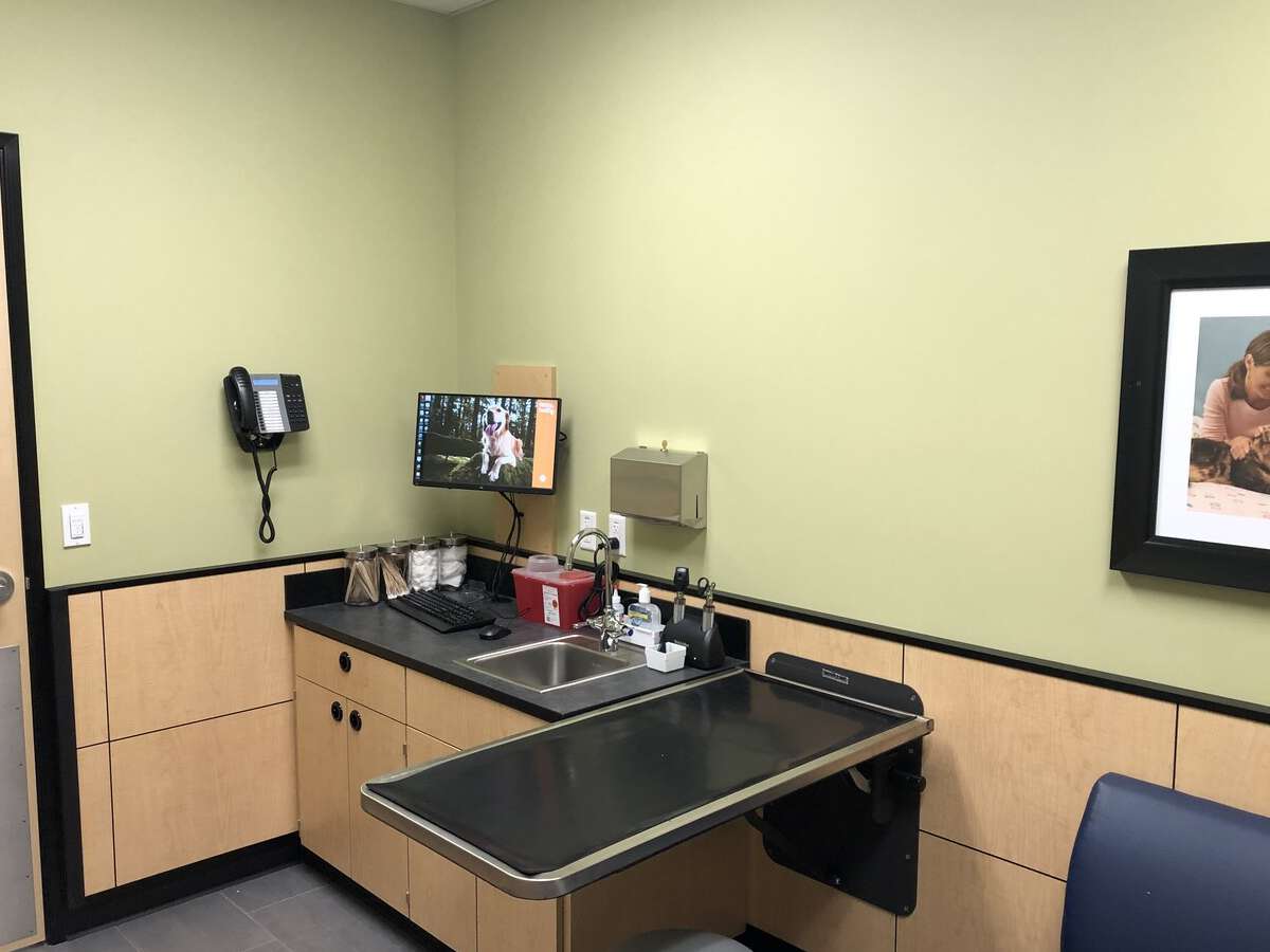 The exam room table inside the Banfield - Davis hospital