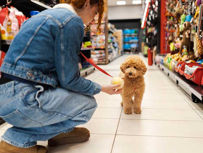 A dog owner kneels next to a fluffy puppy