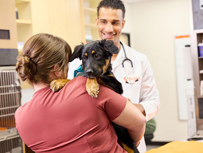 A Banfield veterinary professional holds a cute black and brown puppy