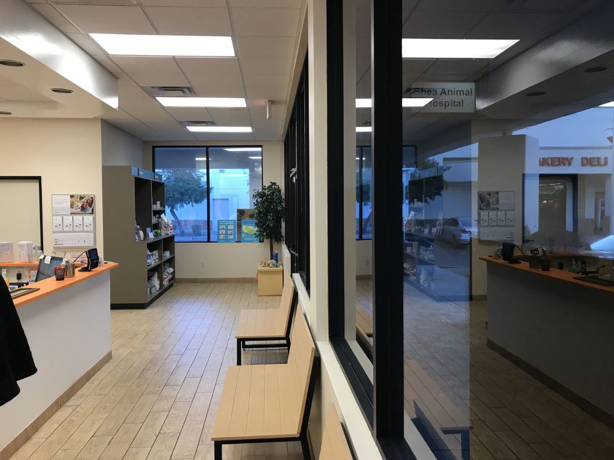 The Banfield Pet Hospital: Shea front desk and lobby