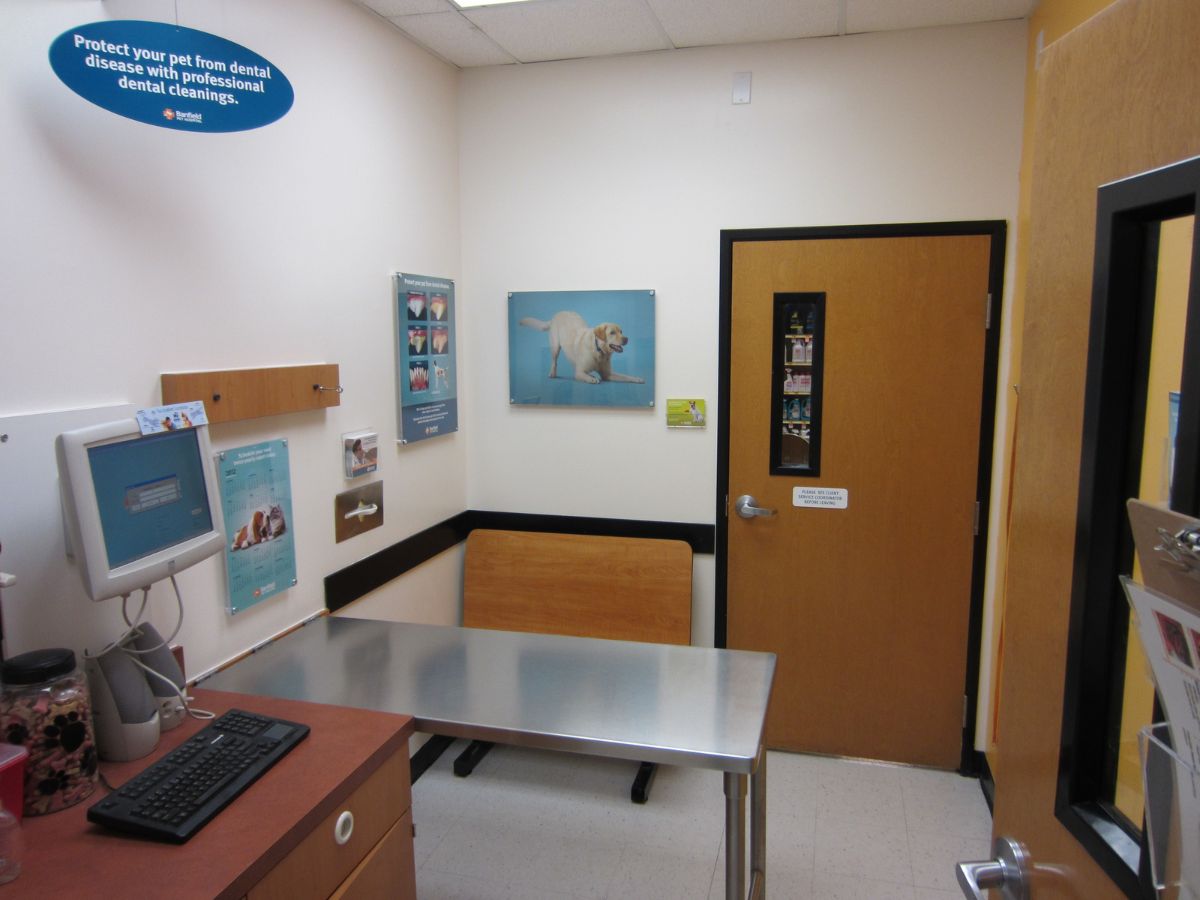 The Banfield Pet Hospital: Desert Ridge exam room with table