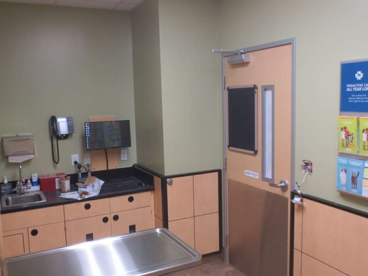 The South College Station Banfield exam room