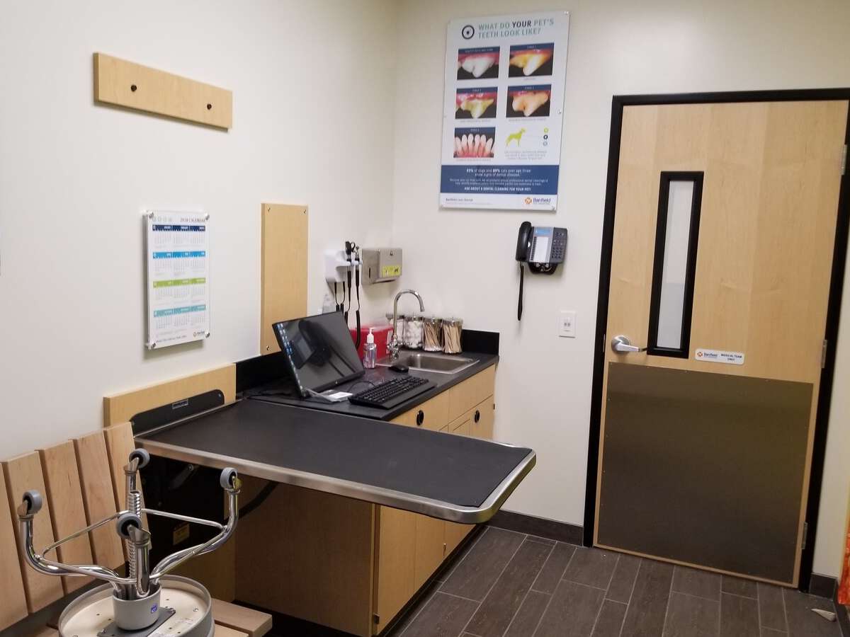 The Round Rock Palm Valley Banfield hospital exam room and table