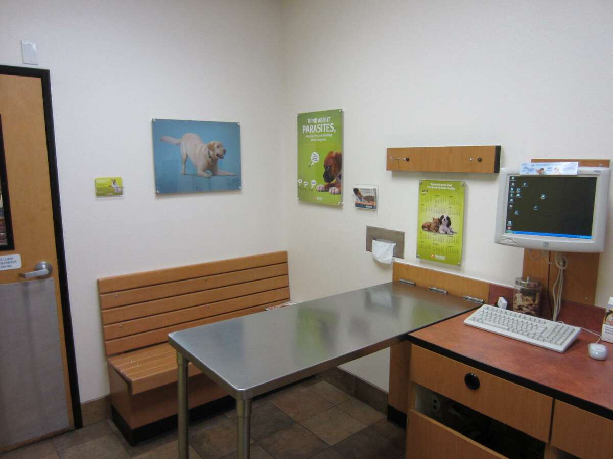 The Scottsdale N Banfield exam room