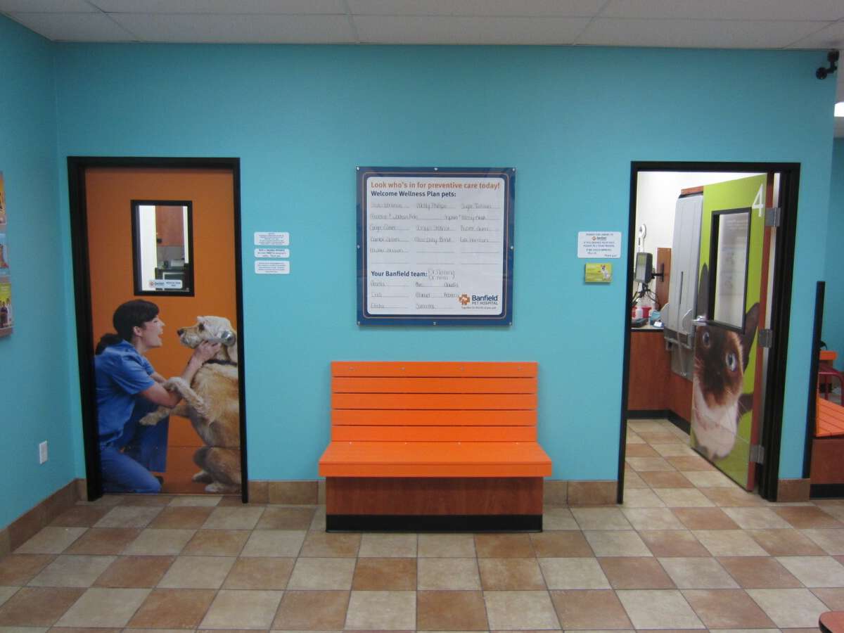 The Glendale Banfield exam room front doors