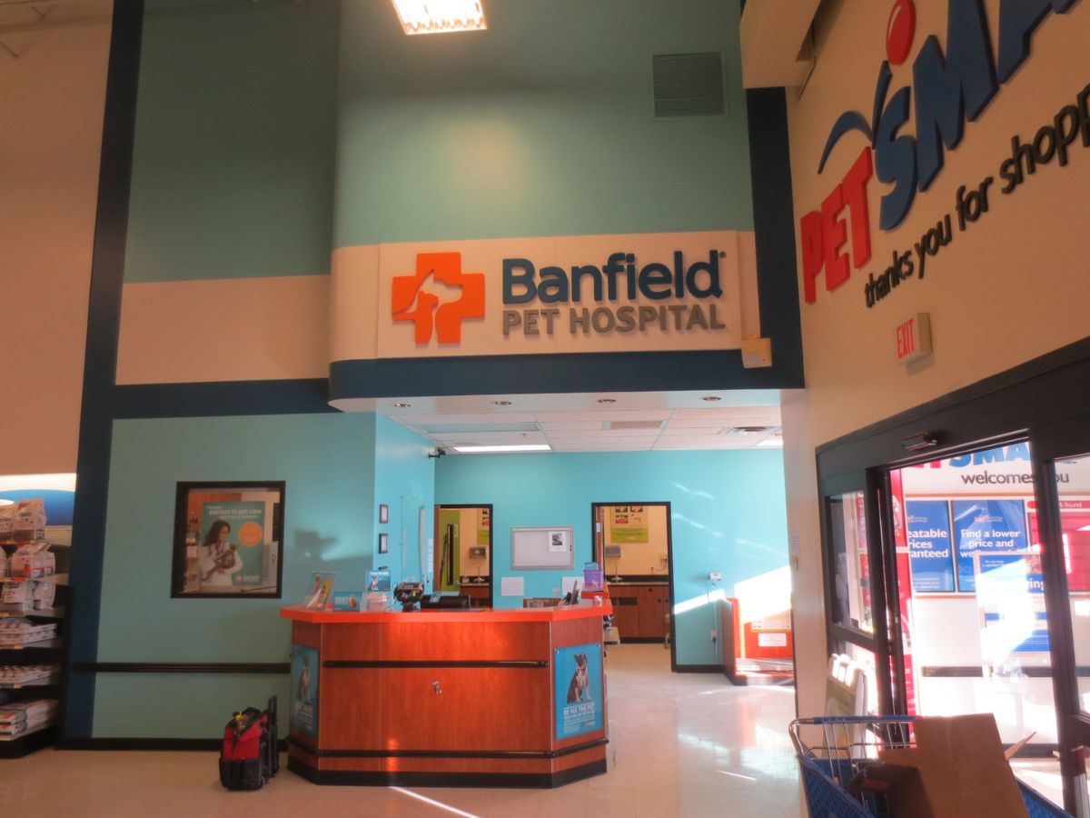 The front desk at the Champaign Banfield hospital