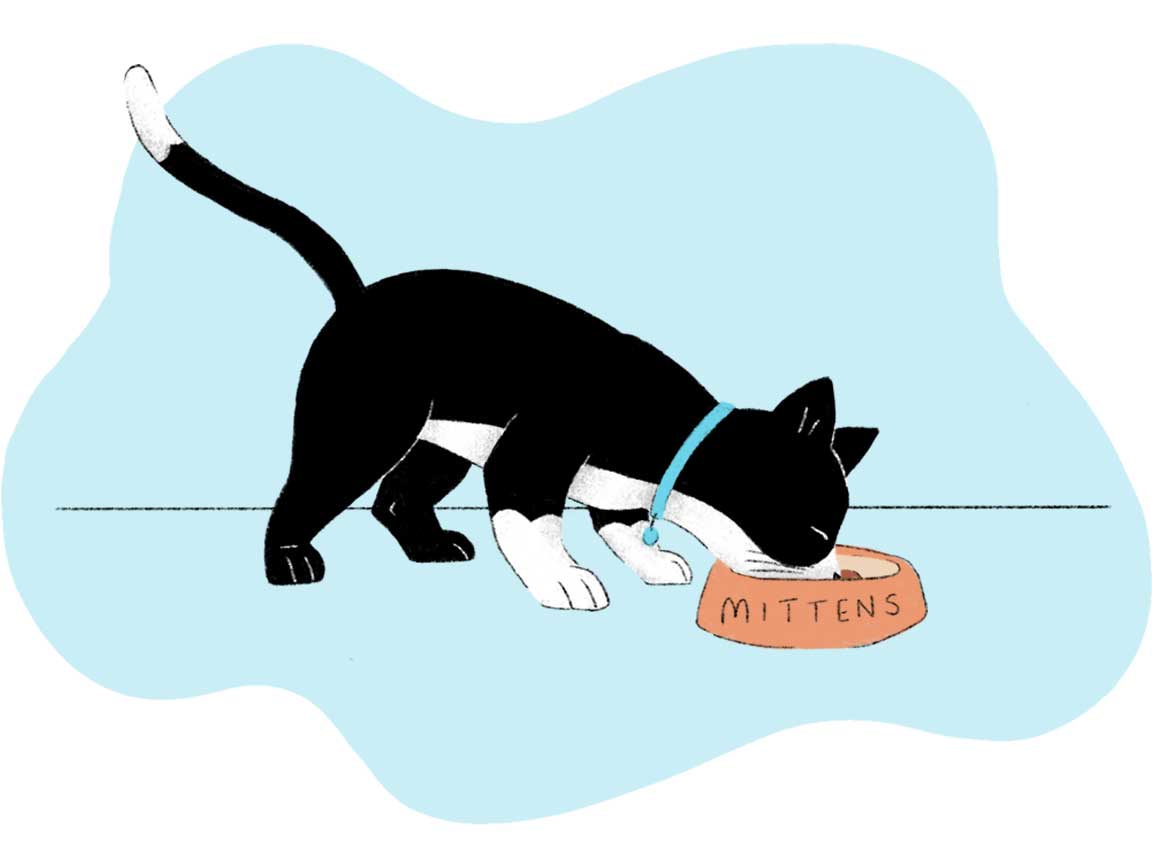 An illustration of a black and white cat eating out of a food bowl