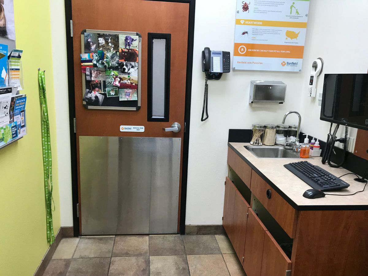 Inside view of the Greensburg Banfield exam room