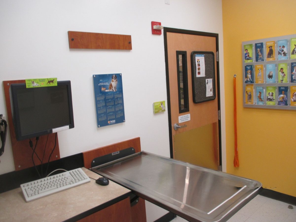 Inside view of a Banfield - Cranberry exam room