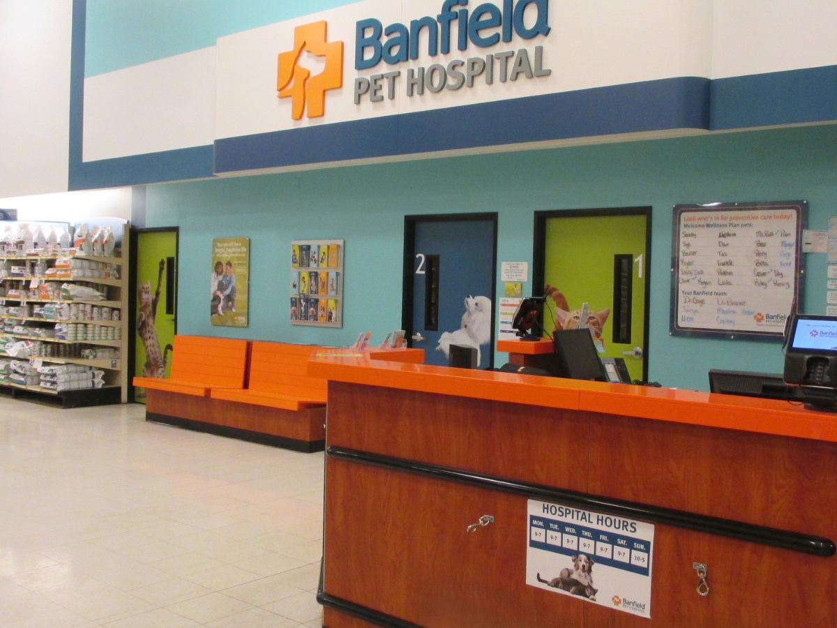 The Banfield Pet Hospital - Beaver front desk and exam room doors