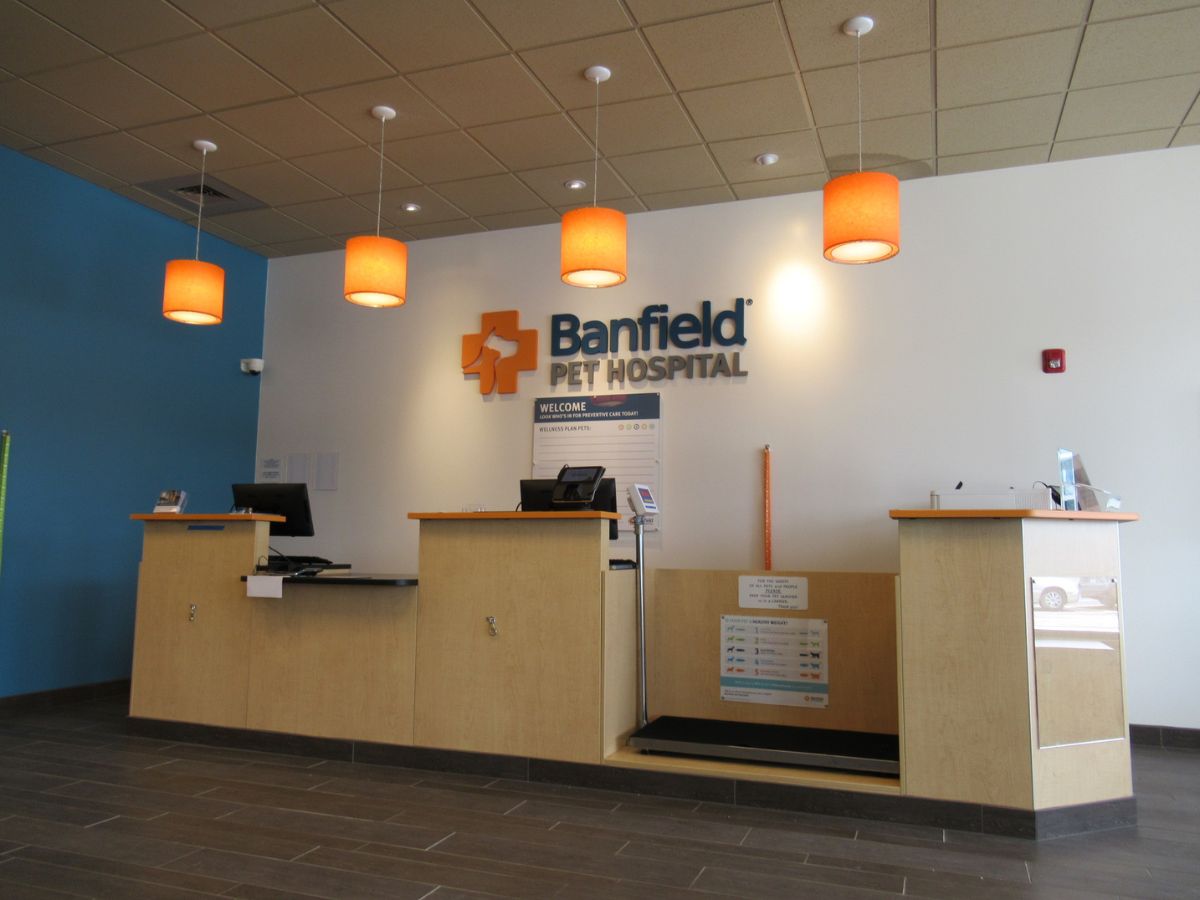 The Banfield - Crafton Ingram hospital front desk and check-in area