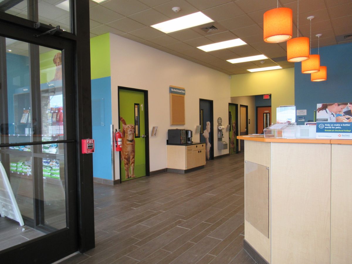 The Banfield - Crafton Ingram hospital front desk and check-in