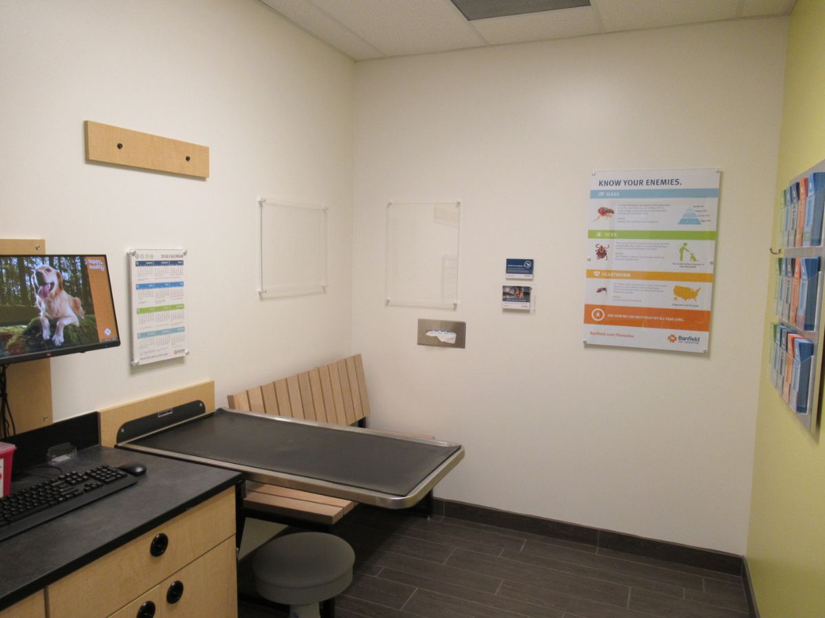 A view of the Banfield - Crafton Ingram exam room and exam table