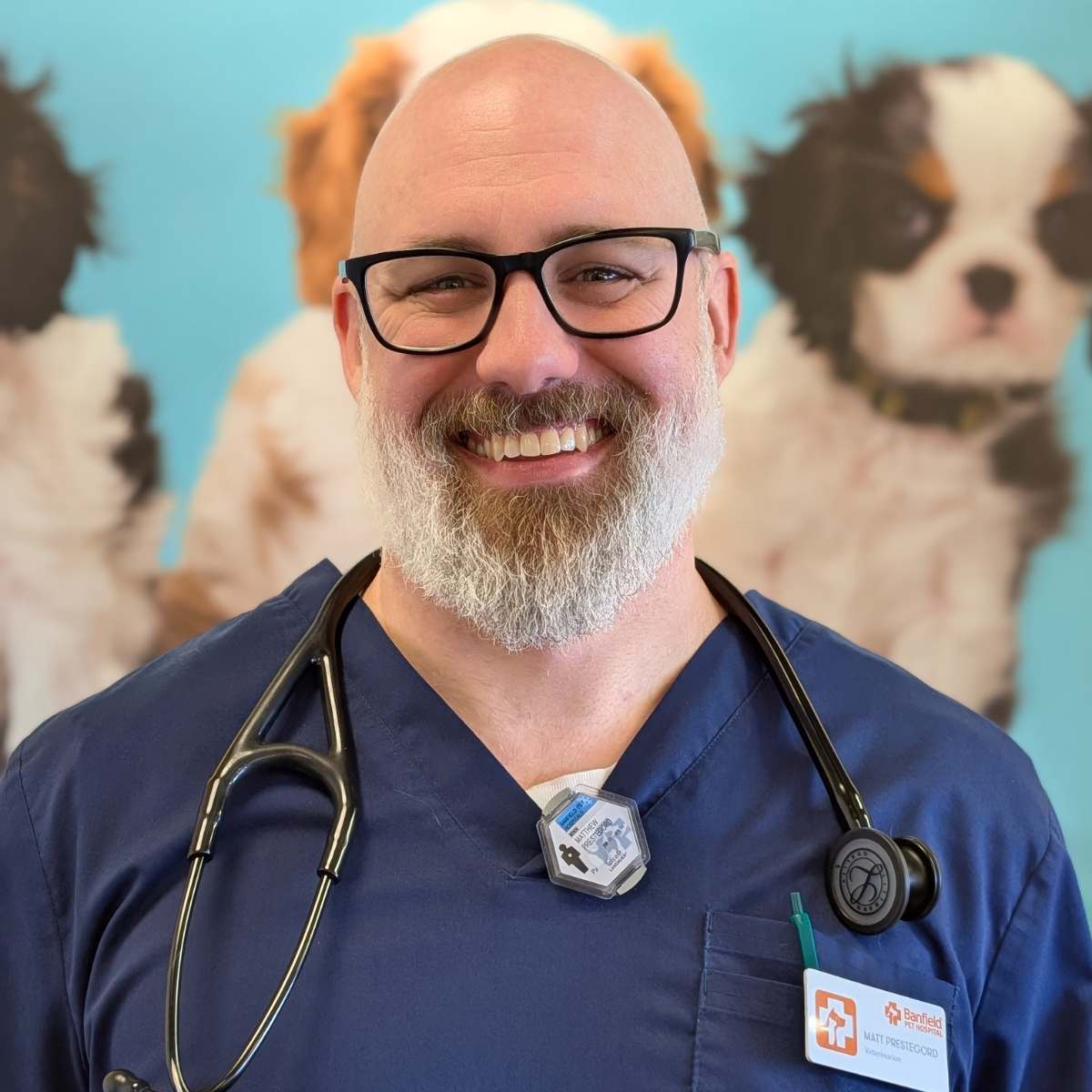Profile picture of Matthew Prestegord, DVM, Veterinarian