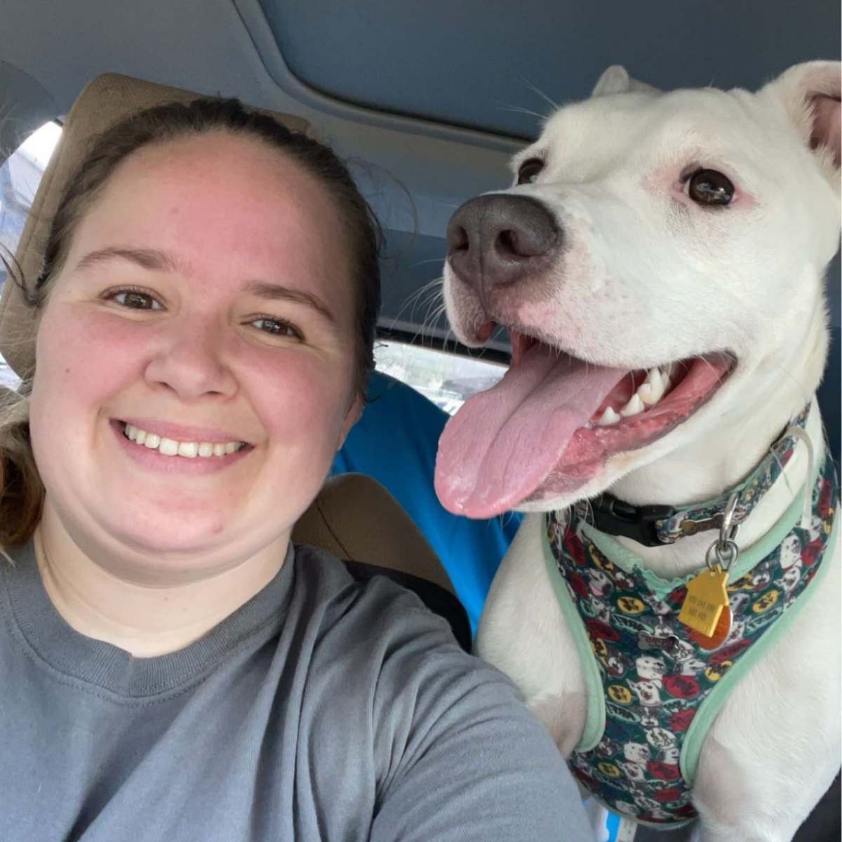 Profile picture of Shelby Sirgo, RVT, Registered Veterinary Technician