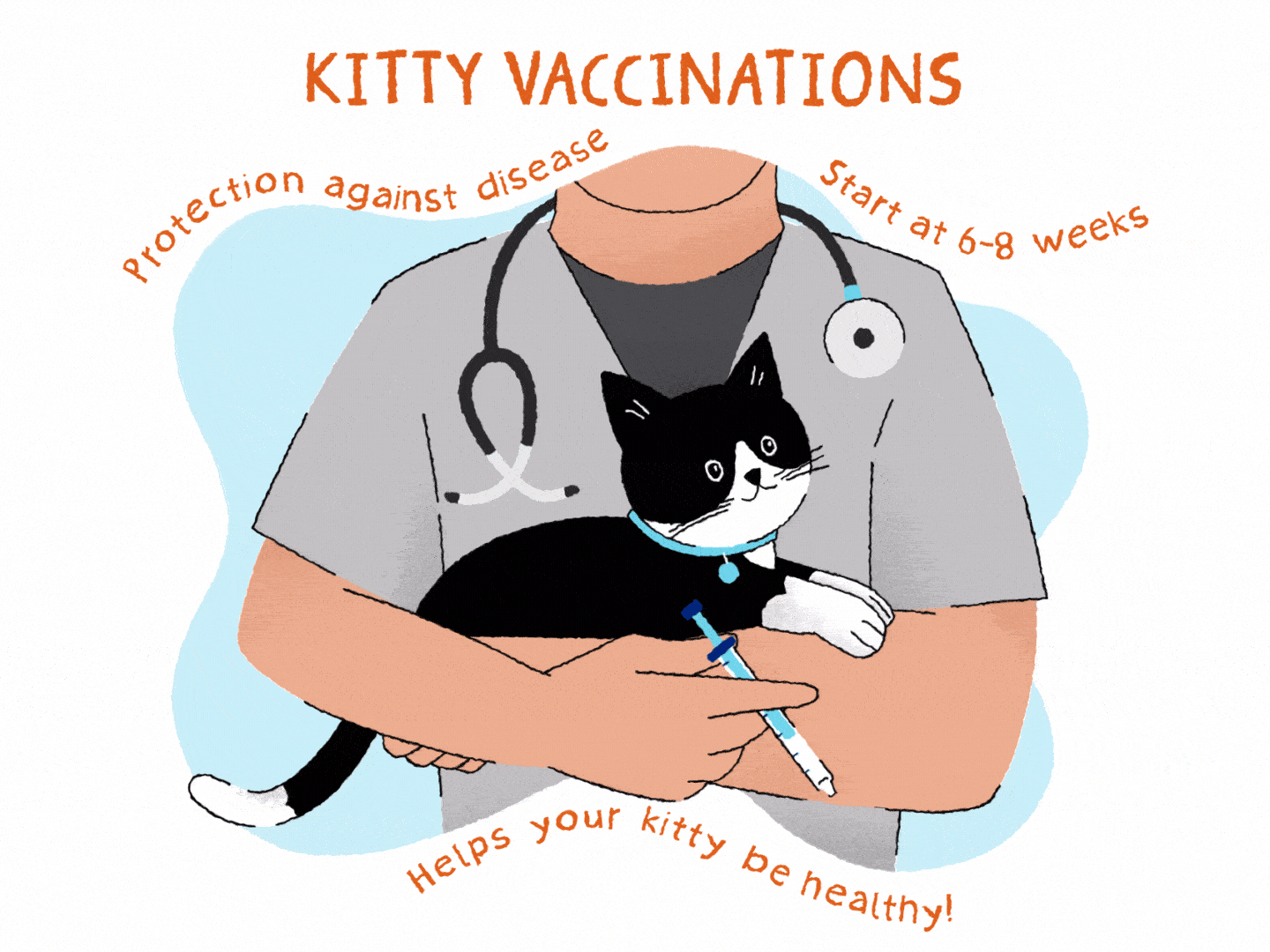 The complete kitten vaccination schedule Banfield Pet Hospital®