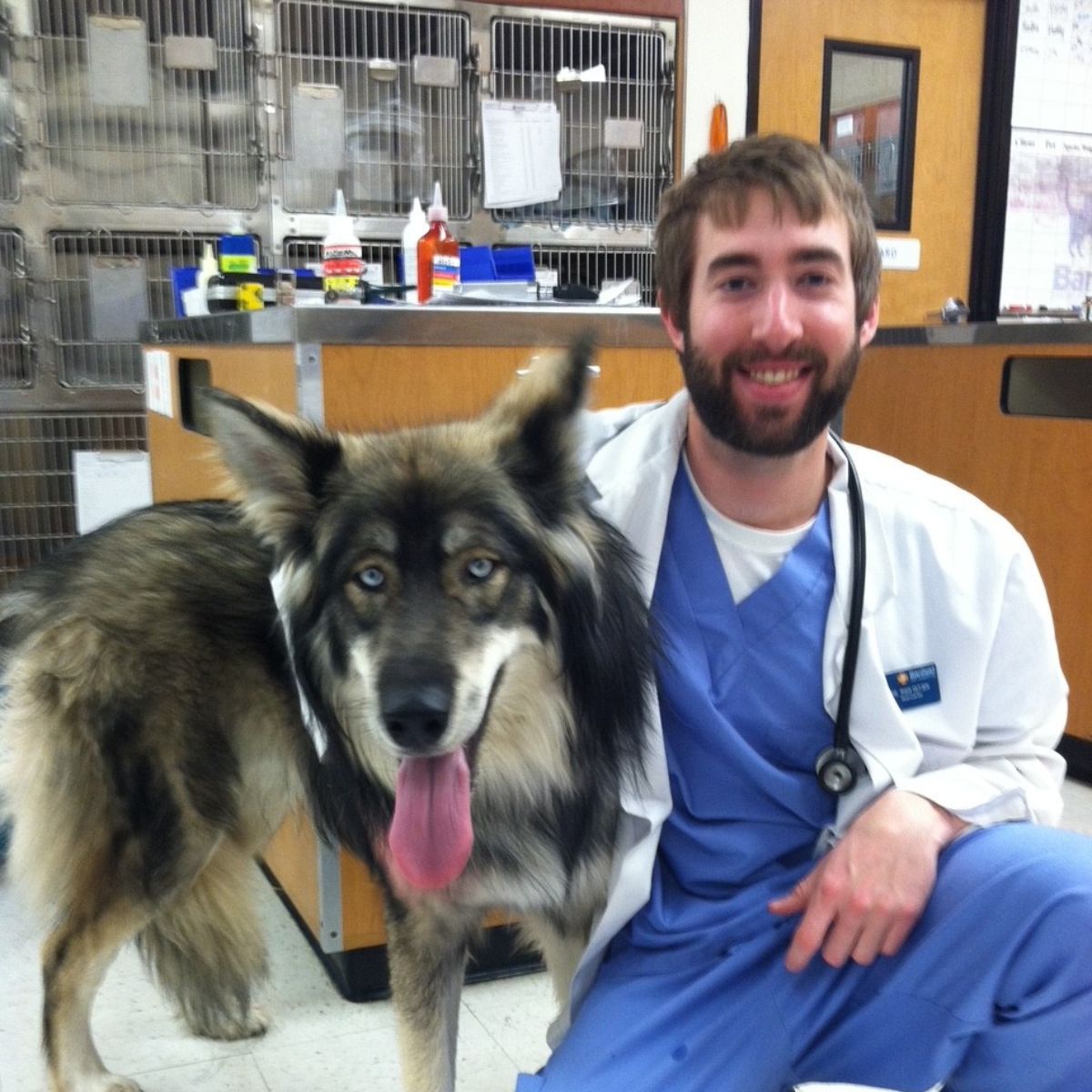 Profile picture of Ryan Oltjen, DVM, Veterinarian