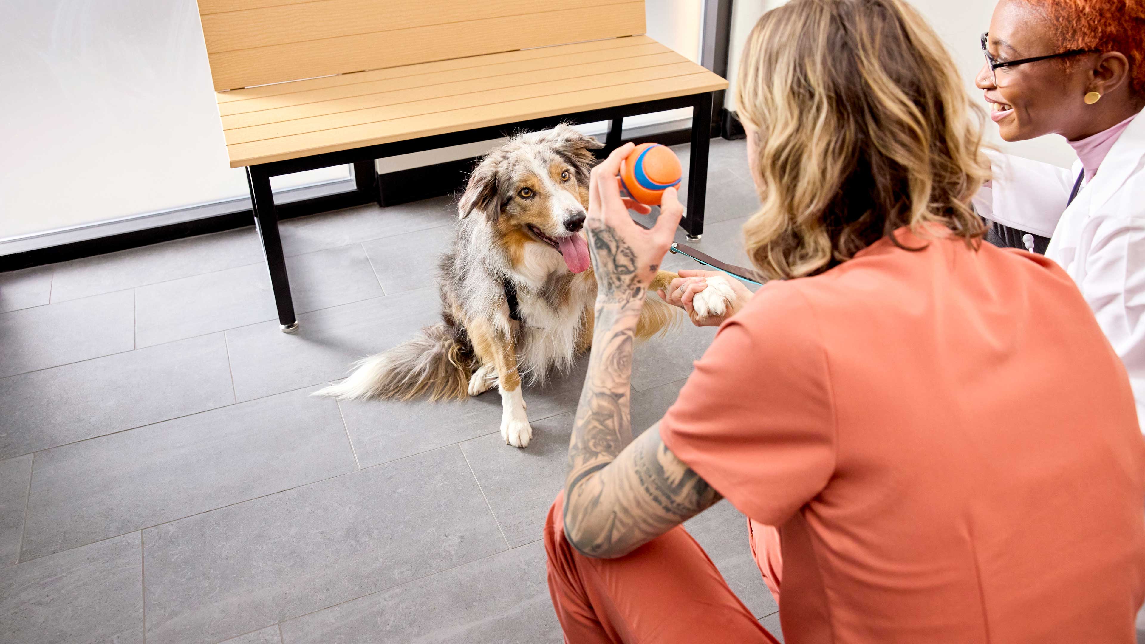 2024 pet industry trends