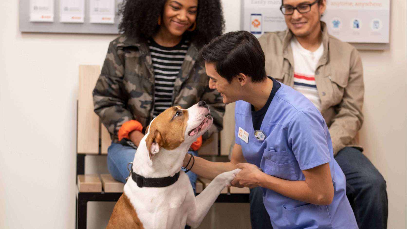 Banfield support dogs with osteoarthritis