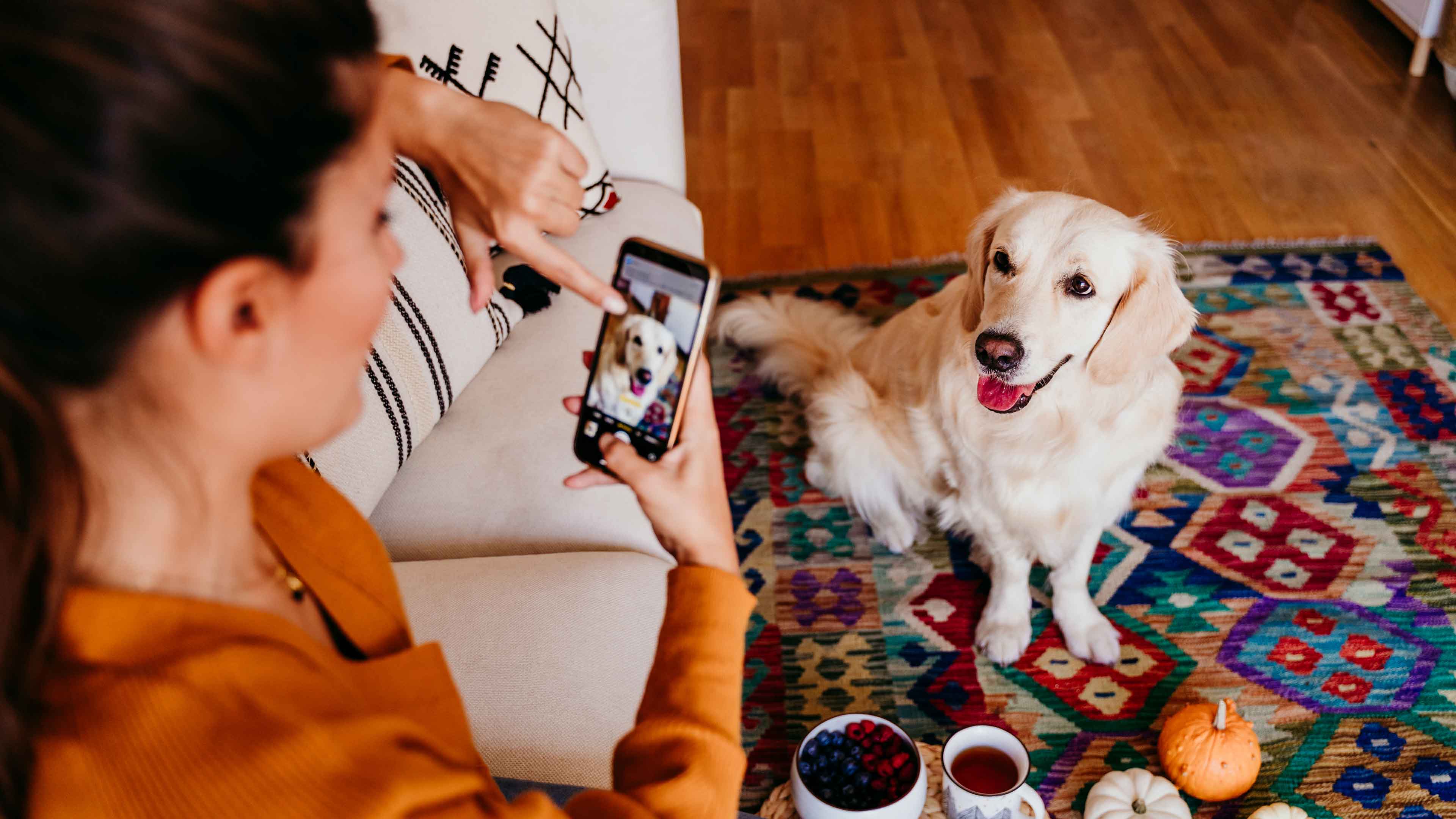 Tips for taking photos of your pets"