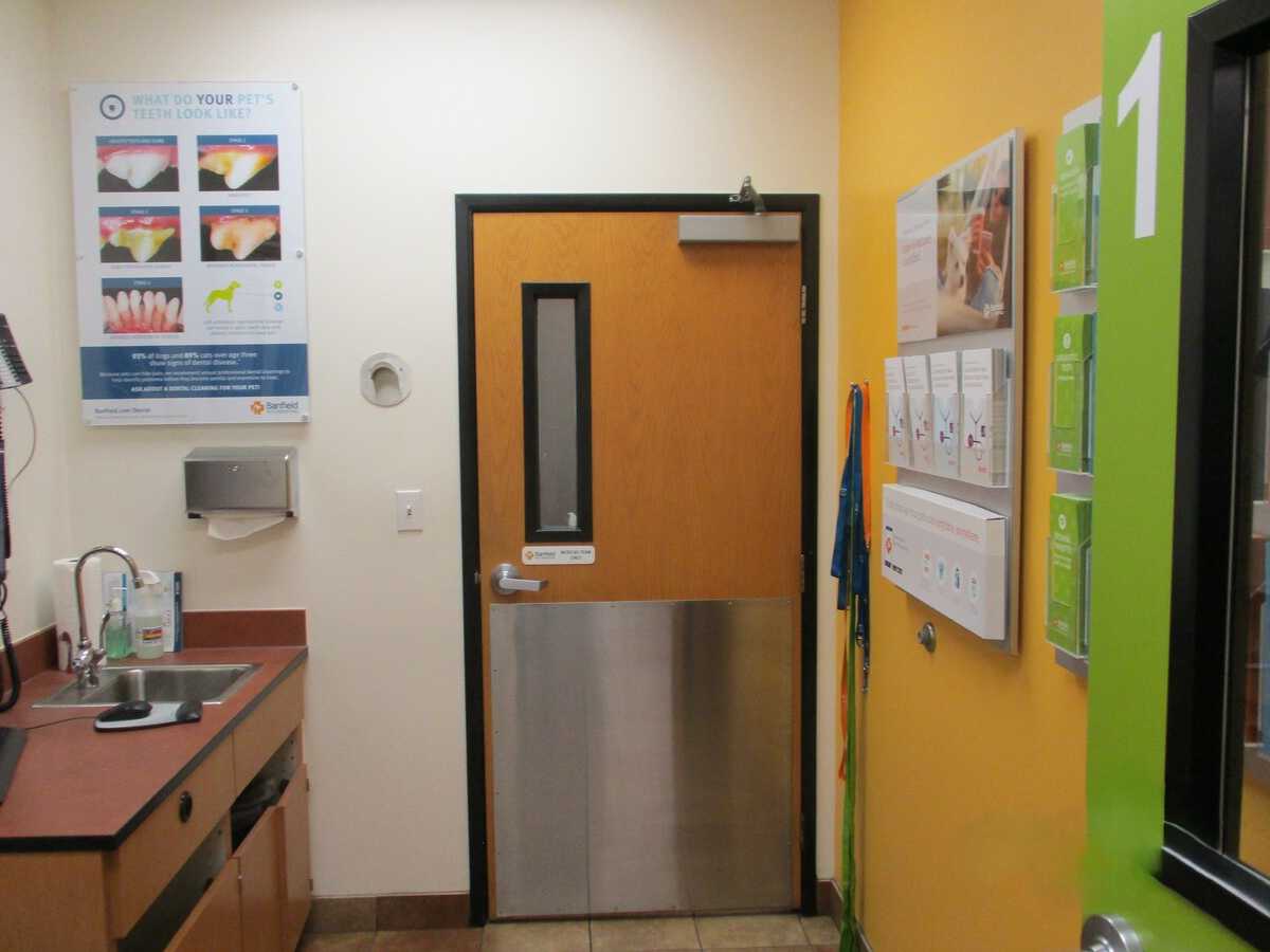Banfield Pet Hospital
