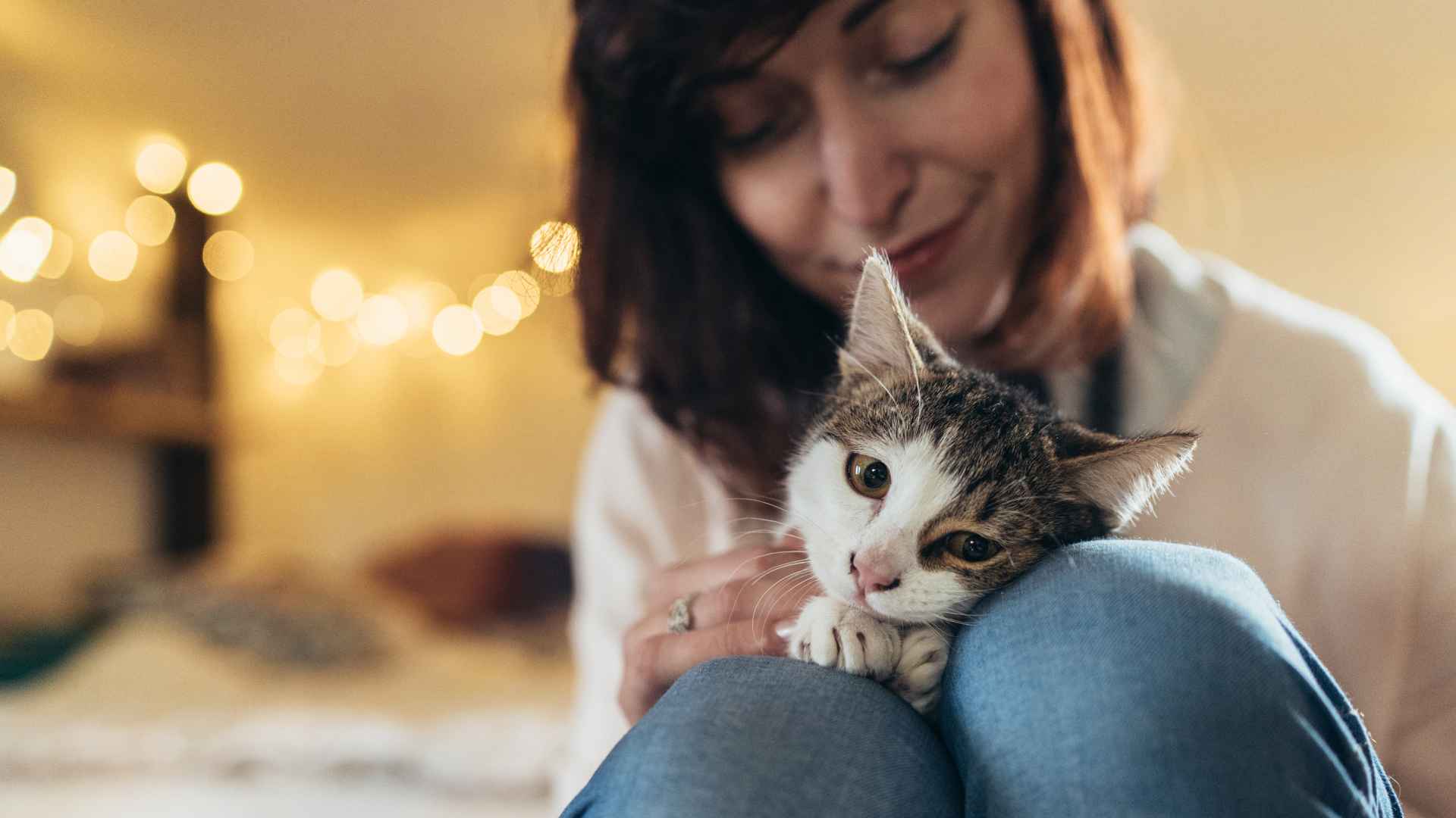 A woman holding a kitten in her lap