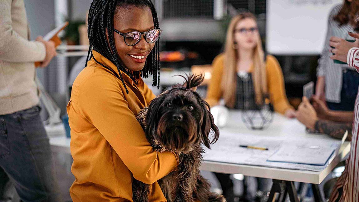 A hairy brown dog being held by their owner