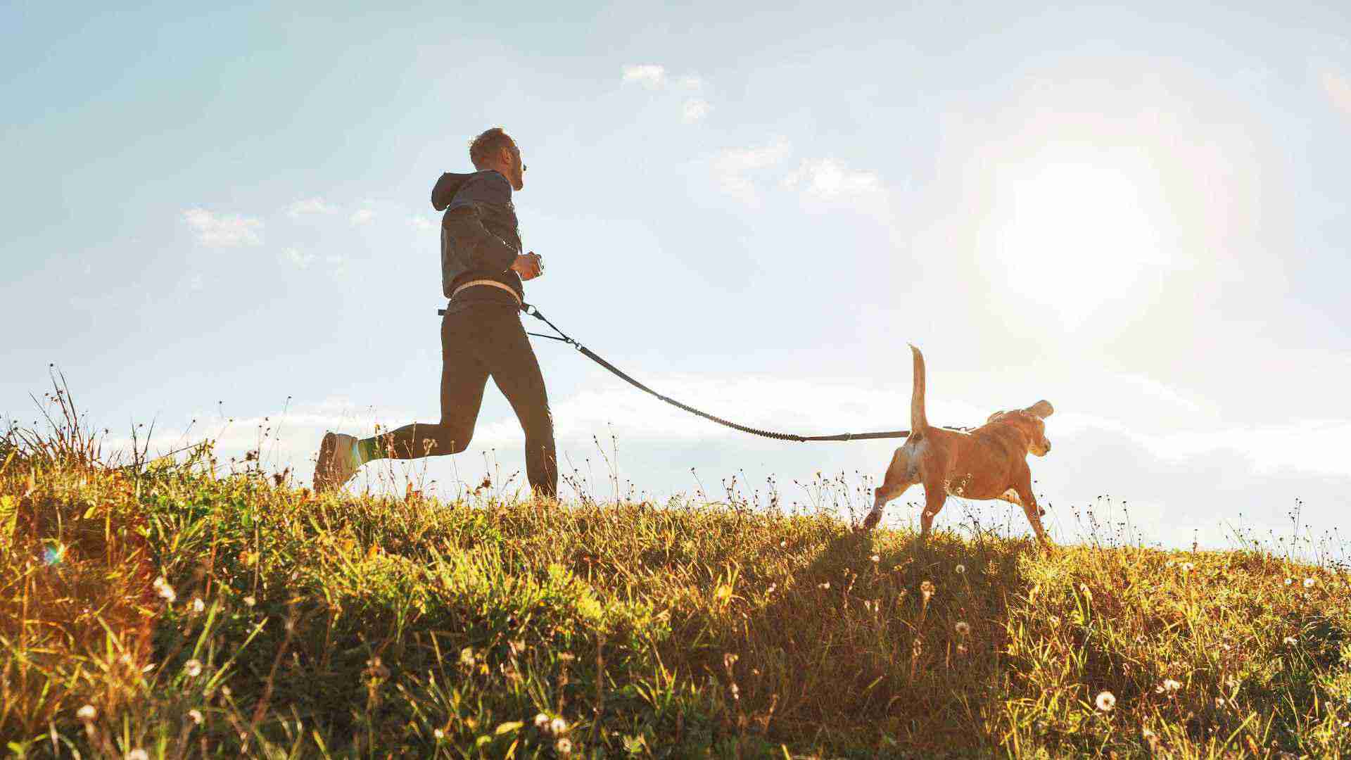 A man and his dog running through an open field
