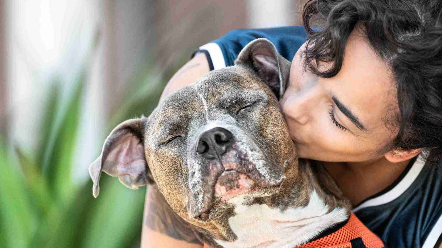 Girl kisses a Dog