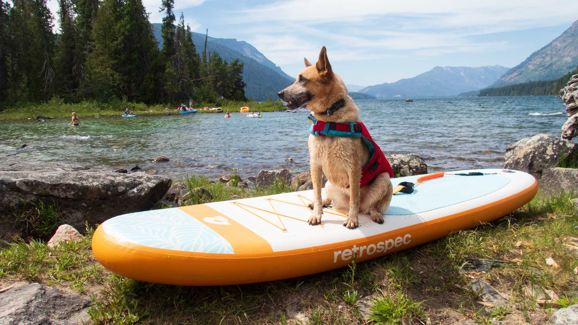 A dog wearing a dog life vest and sitting on a paddleboard next to a lake