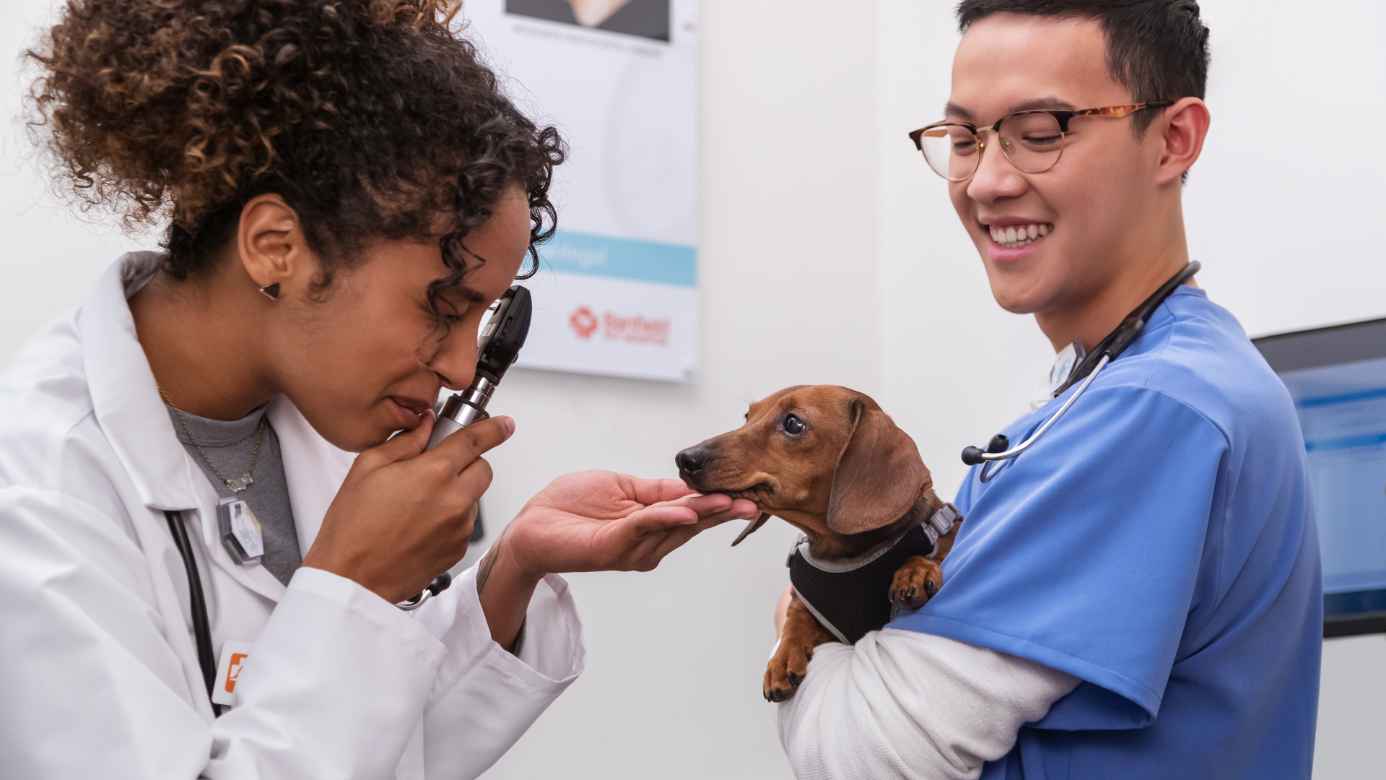 Banfield Pet Hospital