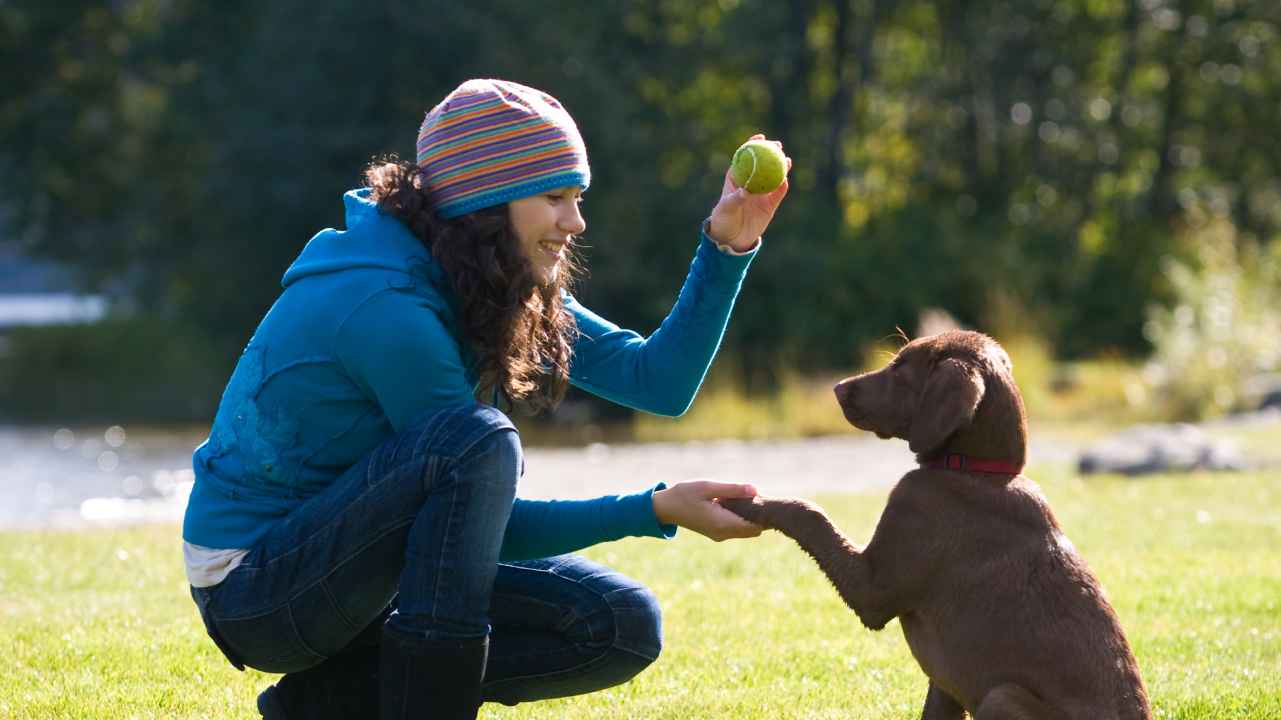 Girl Playing with Dog