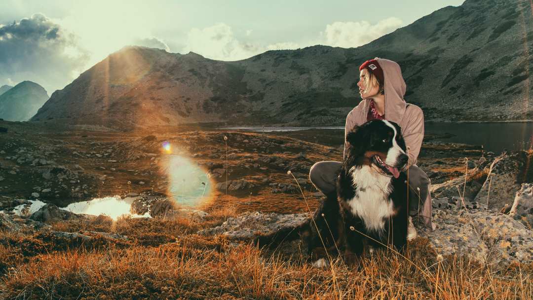 A woman on a hike with her Bernese Mountain dog