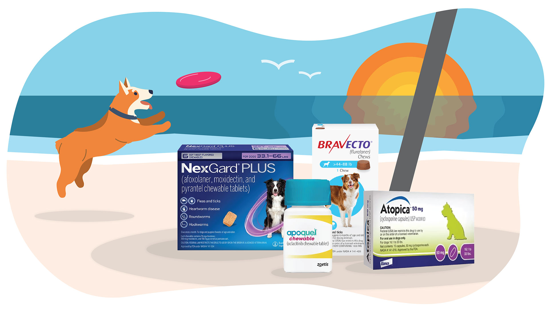 Banfield Pet Hospital