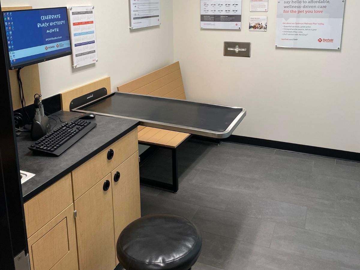 An inside view of a Banfield - Framingham hospital exam room