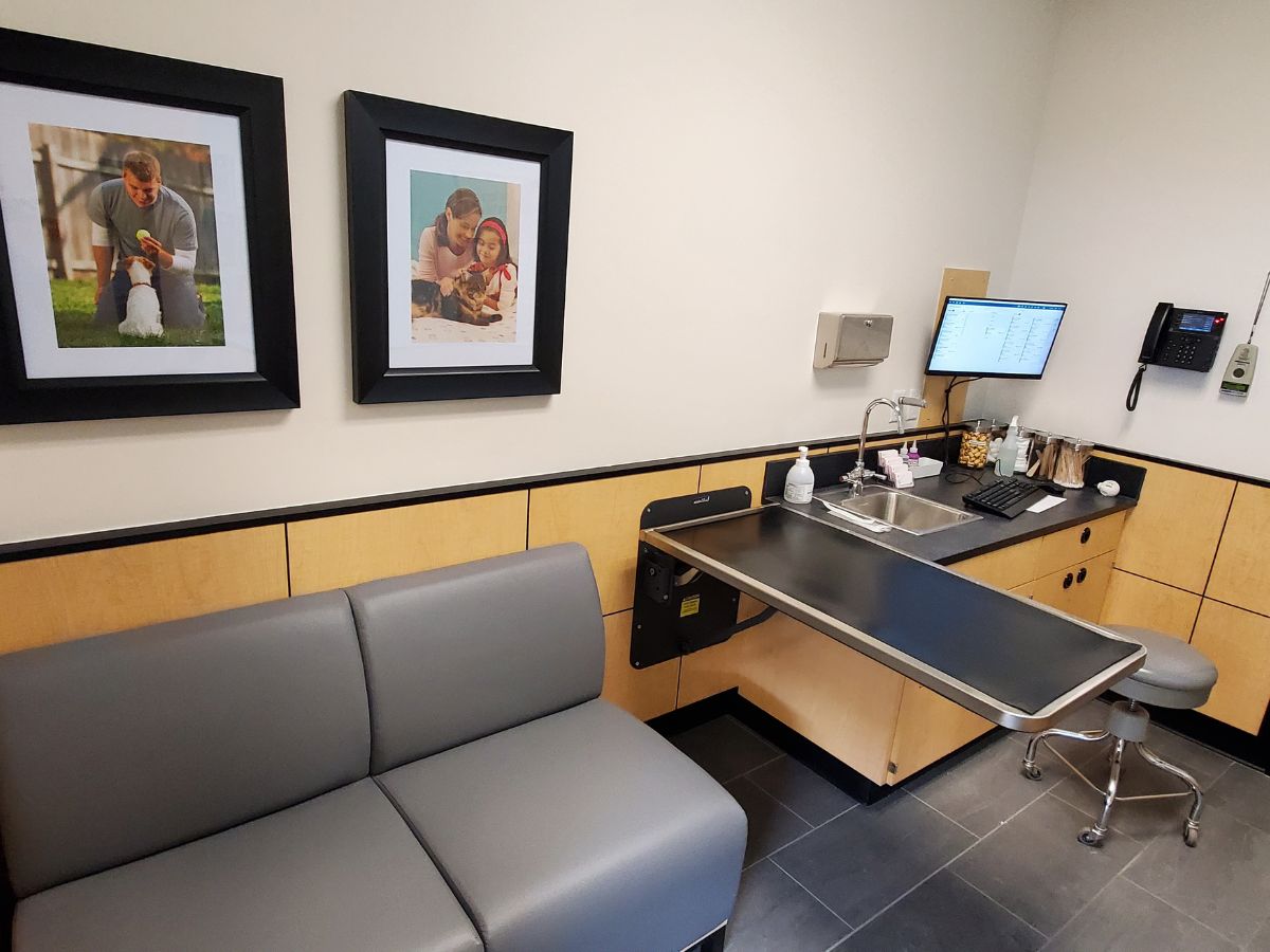 An alternate view of the Banfield - Newton exam room and folding table