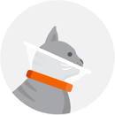 An illustration of a cat in a neck cone