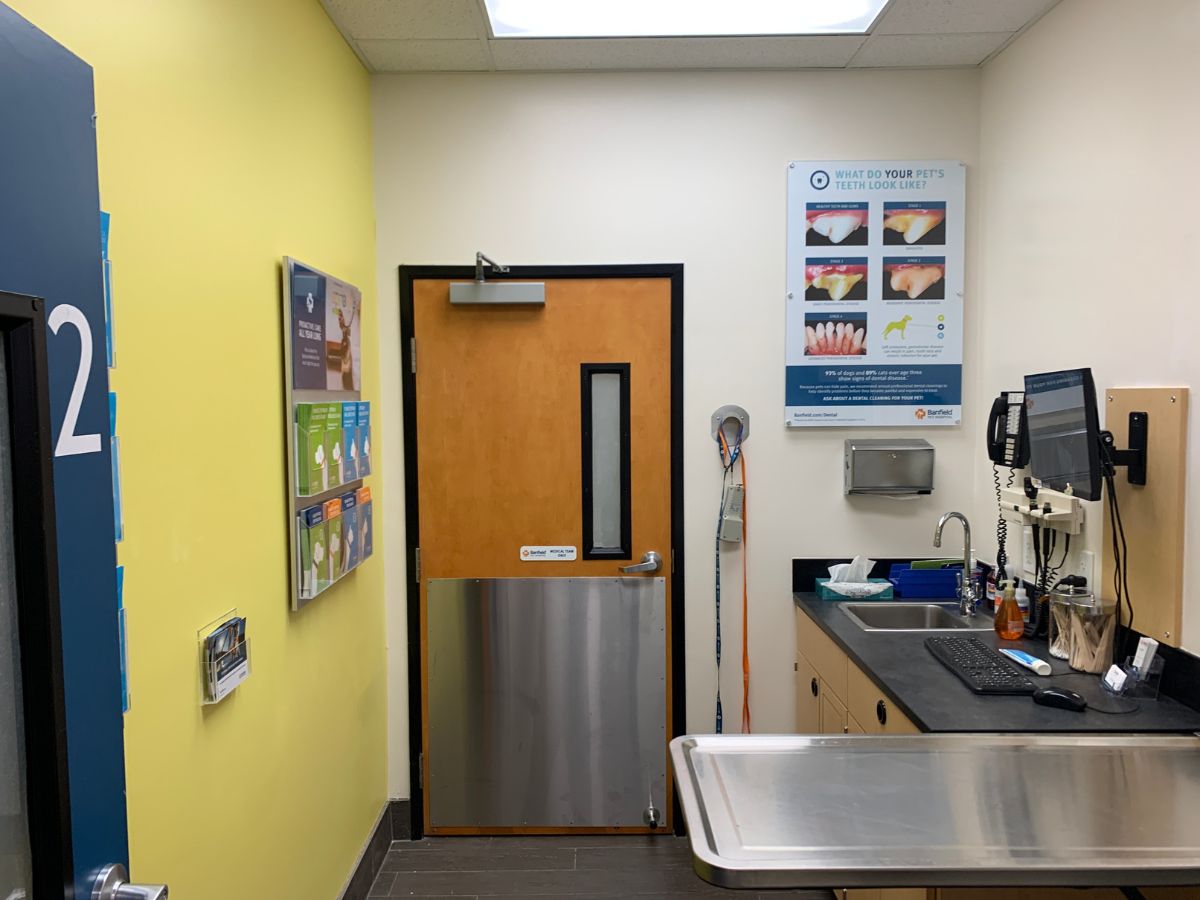 An alternate view of the Banfield - Millbury exam room