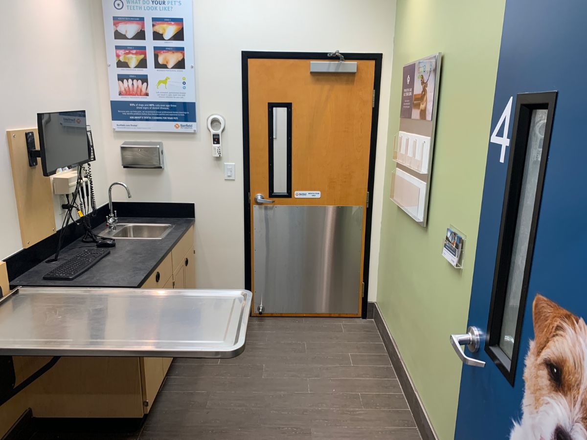 A view inside a Millbury Banfield exam room and folding table