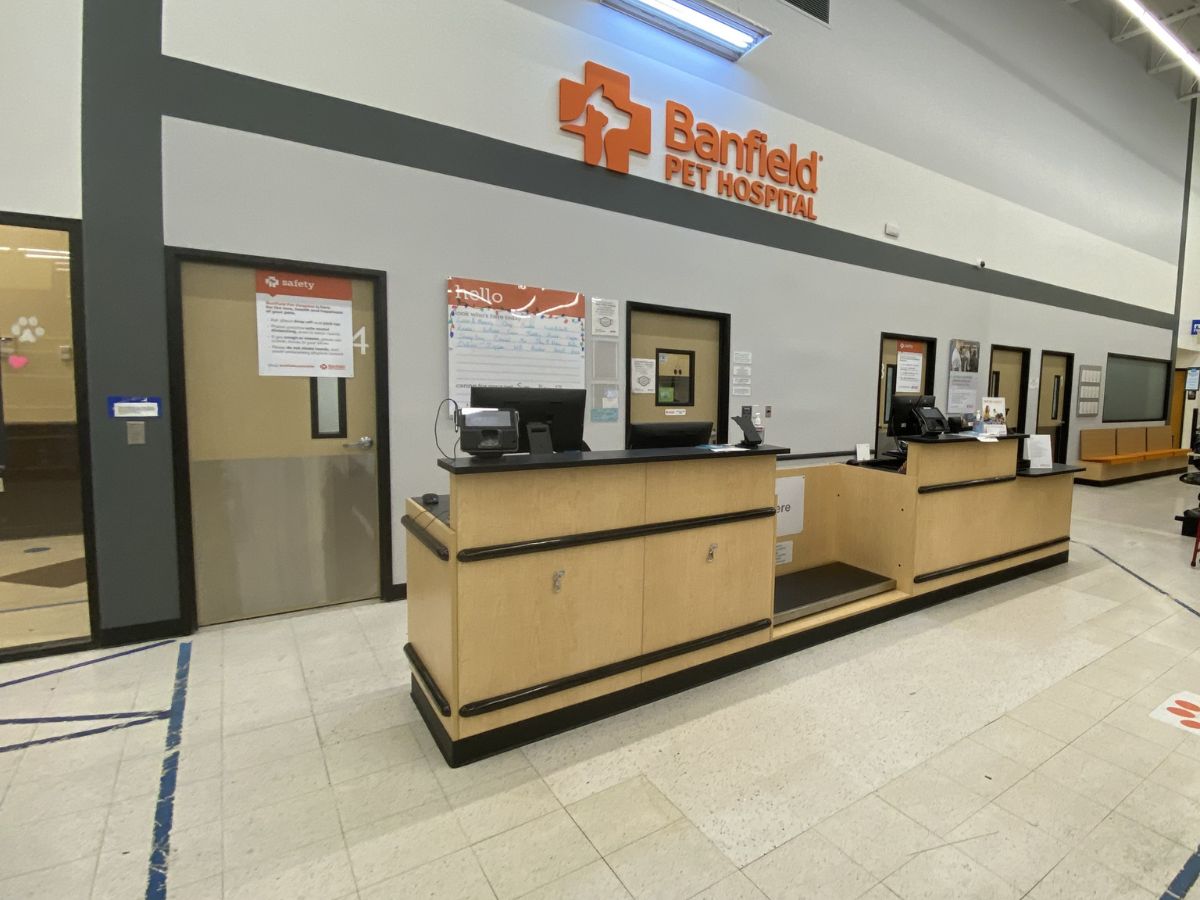 The Manchester Banfield front desk and check-in area