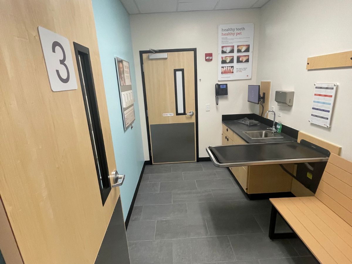 A view of the Banfield - Braintree South Shore hospital exam room and folding table