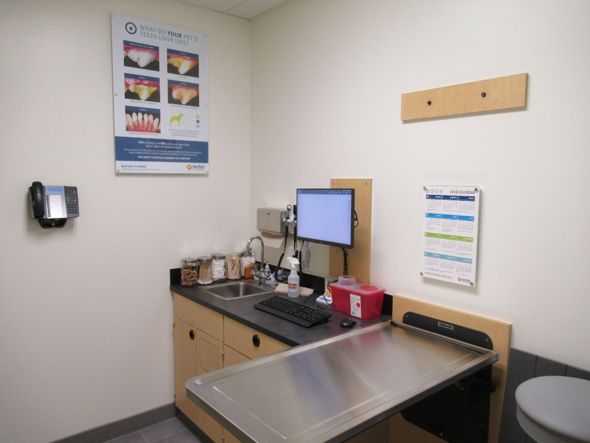 A view of the North Haven Banfield exam room and folding table