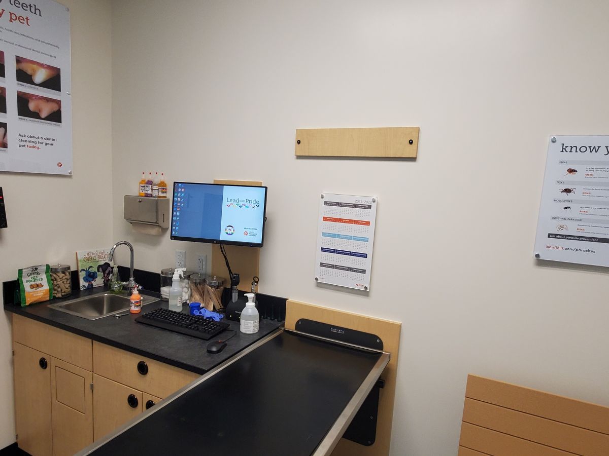 A view inside a Banfield - Johnston exam room and folding table