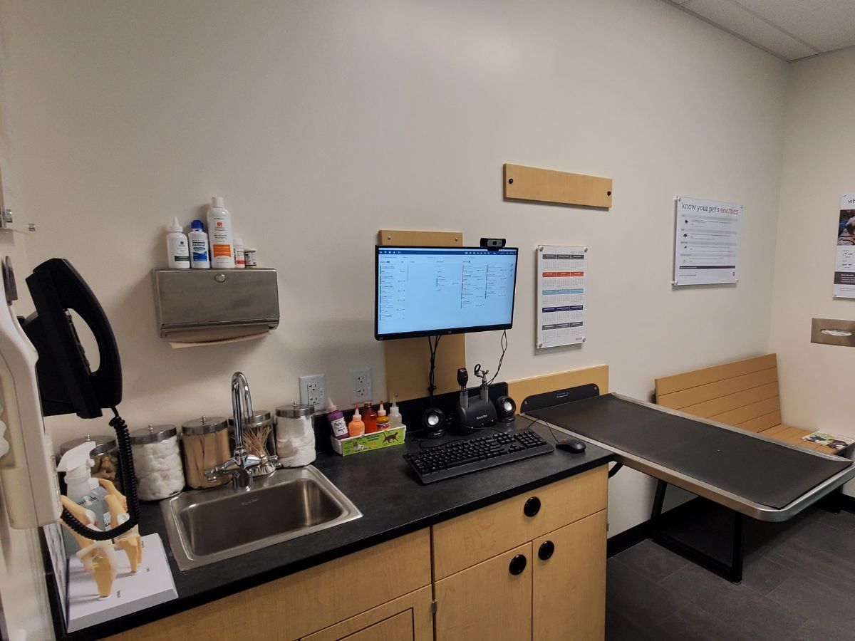 An alternate view of the Banfield - Johnston exam room and folding table