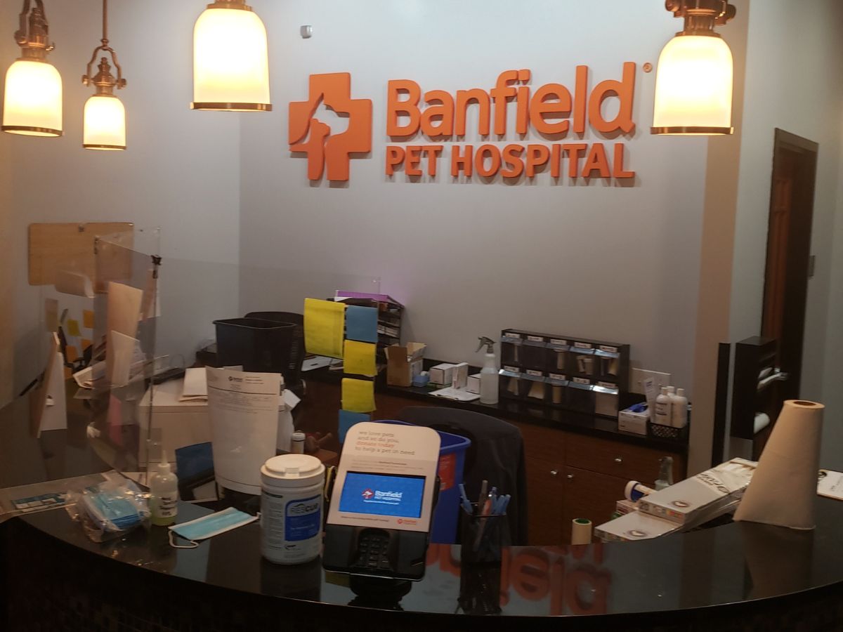 The front desk and check-in area inside the Banfield - Secaucus hospital